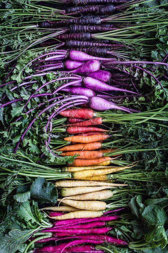 Garden Symphony: Vibrant Fusion of Farmer's Picks